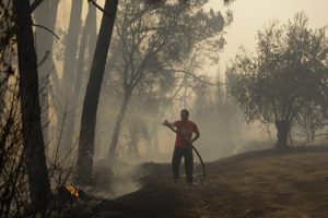 Portugal: Dia em Memória das Vítimas dos Incêndios Florestais deve levar a «reflexão e avaliação», depois do «sobressalto» de 2017 - Duarte Caldeira