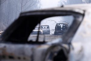 Portugal: Dia Nacional em Memória das Vítimas dos Incêndios Florestais