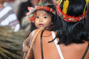 Amazónia: Santa Sé diz na ONU que Sínodo vai refletir sobre papel dos povos indígenas e «compromisso» da Igreja Católica na sua proteção