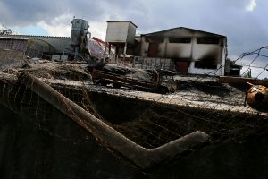 Incêndios 2017: Cáritas Diocesana de Coimbra «caminha» para terminar «compromisso» com populações afetadas