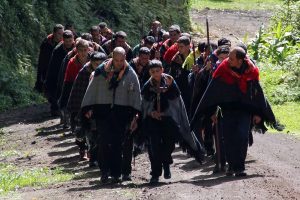Angra: Bispo pede aos romeiros que rezem pelos «jovens» e «por todas as vítimas dos abusos»
