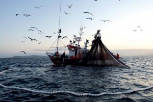 Pastoral do Mar: Assistente Nacional destaca «fé profunda» dos pescadores