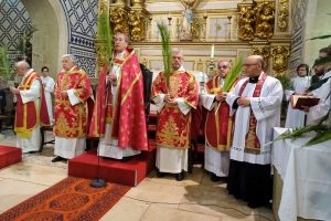 Homilia do bispo de Santarém no Domingo de Ramos da Paixão do Senhor