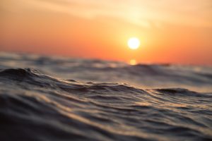 Igreja/Ambiente: Relatório promovido por fundação católica conclui que oceanos estão mais ácidos e os ecossistemas afetados