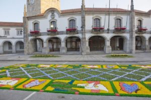 Corpo de Deus: Tapete de Flores do Sardoal é «convidado especial» da festa na Diocese de Viana do Castelo