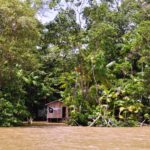 COP30: Cáritas Brasileira apresenta «vozes, saberes e lutas», em vídeos sobre justiça socioambiental