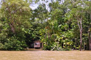 Igreja: Conferência Eclesial da Amazónia elegeu nova presidência para os próximos quatro anos