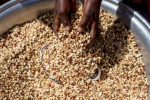 África: Cáritas Internacional alerta para crise alimentar que ameaça 6 milhões de pessoas no Sahel