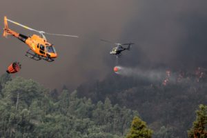 Algarve: Bispo rezou pelos bombeiros que combatem fogo na região