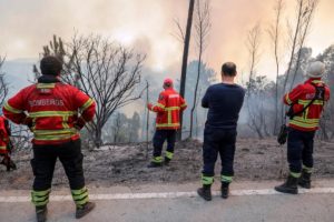 Algarve: Igreja Católica pronta para ajudar população afetada pelo incêndio em Monchique
