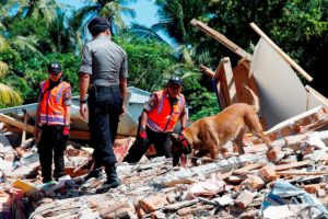 Indonésia: Igreja Católica apoia população atingida pelos terramotos