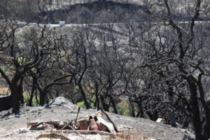 Incêndios: Diocese do Algarve recolhe donativos para vítimas dos fogos