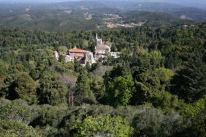Património: Bispo de Coimbra e Carmelitas Descalços associaram-se aos 390 anos do Convento de Santa Cruz