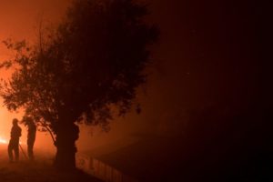 Incêndios: Cáritas de Portalegre-Castelo Branco revela relatório final do apoio, após tragédia de Pedrógão Grande