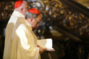 Abusos Sexuais: «Estamos completamente com o Papa», diz D. Manuel Clemente (C/áudio)