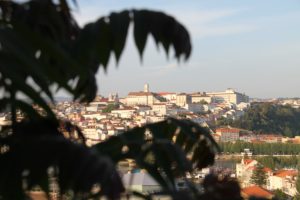 Coimbra: «Aproximai-vos do Senhor» no novo ano pastoral