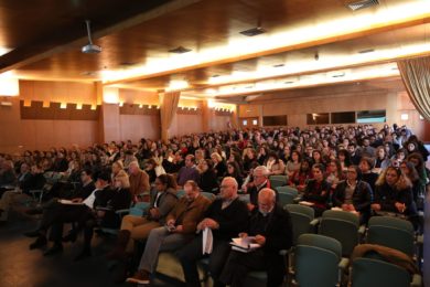 Solidariedade: Apresentação do estudo sobre a importância das IPSS