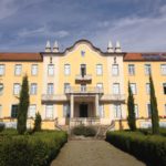 Igreja/Sociedade: Diocese de Bragança-Miranda plantou 500 oliveiras no Seminário de São José, no Ano Santo 2025