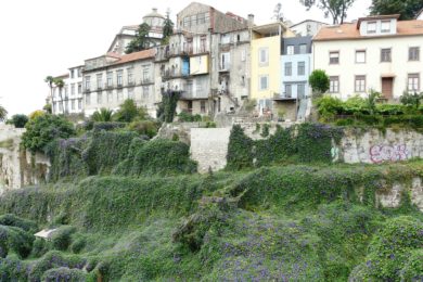Porto: Santa Casa da Misericórdia recebe seminário «Políticas Sociais – que caminhos para o sucesso»