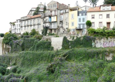 Porto: Santa Casa da Misericórdia recebe seminário «Políticas Sociais – que caminhos para o sucesso»