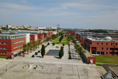 Aveiro: Ceia de Natal junta universitários de diversos países
