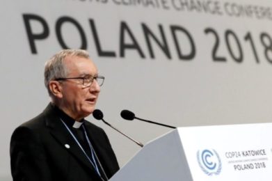 Clima: «Modelo de desenvolvimento mais sustentável depende de uma vontade política forte», diz secretário de Estado do Vaticano