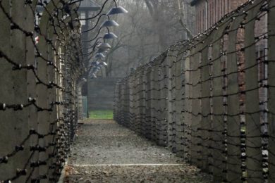 Igreja: Papa recorda vítimas do Holocausto