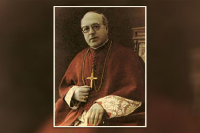 Aveiro: Lançamento de livro sobre o bispo D. Domingos da Apresentação