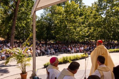 Lisboa: Cardeal-patriarca desafiou as famílias ao testemunho da «proposta familiar cristã» (c/fotos e vídeo)