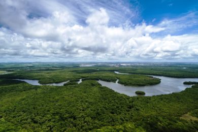Sínodo 2019: Vaticano alerta para destruição da Amazónia e violação dos direitos dos povos indígenas (c/vídeo)