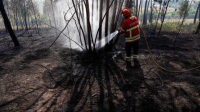 Incêndios: Bispo de Portalegre-Castelo Branco apela a ajuda solidária