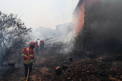 Fogos Florestais: Cáritas de Portalegre–Castelo Branco angariou mais de quatro mil euros