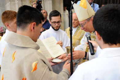 Lamego: D. António Couto ordenou sacerdote chamado para «trabalho de alegria»
