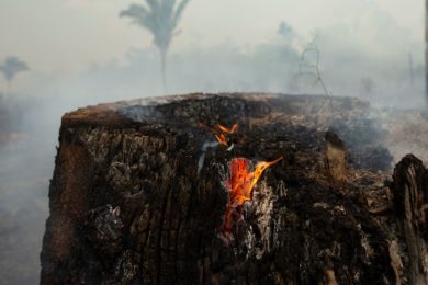 Vaticano: Papa mostra preocupação com incêndios na Amazónia