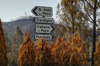 Incêndios: Cáritas de Portalegre-Castelo Branco pede apoio para reconstrução de casas nas zonas de Mação, Vila de Rei e Sertã
