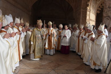Consistório 2019: Conferência Episcopal saúda criação de D. José Tolentino Mendonça como cardeal