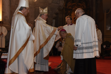 Consistório 2019: Cardeal-patriarca destaca percurso de D. José Tolentino Mendonça no diálogo cultural