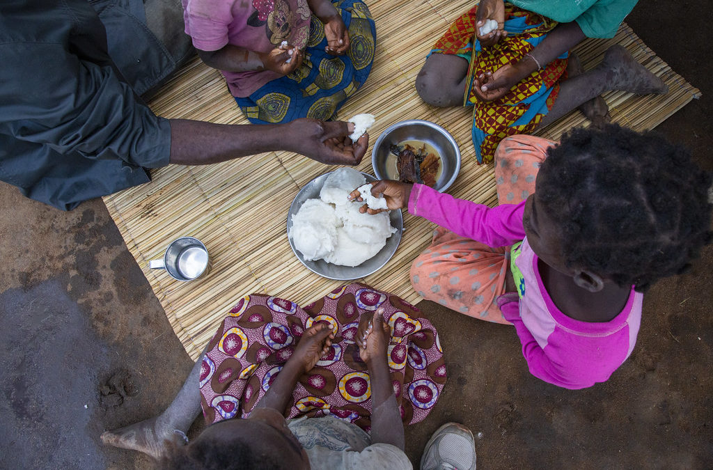 Moçambique: Seis meses depois do Idai, reconstrução avança lentamente (c/fotos)