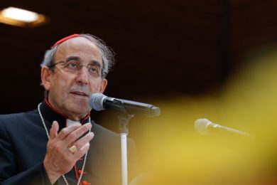 Fátima: «O Santuário tudo fará para ser a solução e nunca um problema» - Cardeal D. António Marto (c/vídeo)