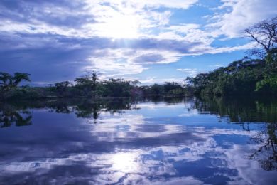 Sínodo 2019: Cientista Carlos Alfonso Nobre fala em ameaça de «ponto de não-retorno» na Amazónia