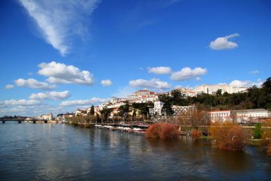 Coimbra: Organizações católicas e académicas propõem «entidade central» para investigar e punir delitos ambientais