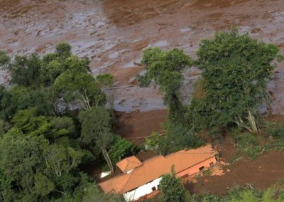 Sínodo 2019: Amazónia e bacia do Congo unidos em alerta contra «destruição irresponsável»