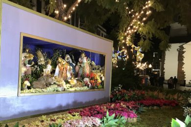 Funchal: Diocese apresenta indicações para celebrações do Natal, sem ajuntamentos fora das igrejas nem romagens