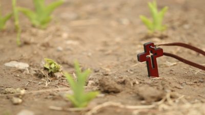 Vaticano: 29 missionários e religiosos foram assassinados em 2019