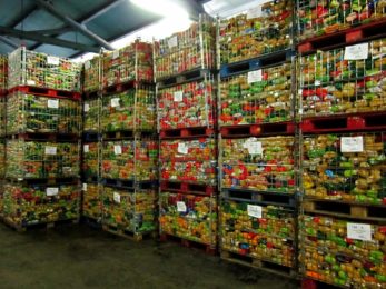 Solidariedade: Bancos Alimentares Contra a Fome angariam 2125 toneladas de alimentos