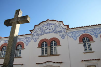 Igreja: Casa do Gaiato de Miranda do Corvo celebrou 80 anos, à espera da beatificação do Padre Américo