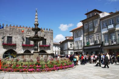 Viana do Castelo: Diocese cria «Comissão Laudato Si»