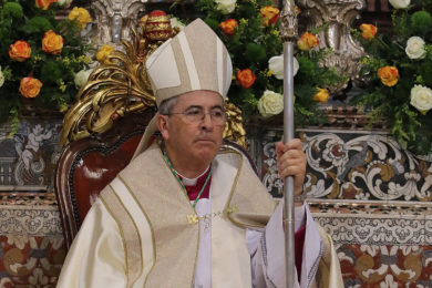Dia Mundial da Paz: Bispo de Santarém alerta para situação das IPSS