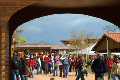 Aveiro: Diocese leva «cerca de 400 alunos» a Taizé, no Carnaval