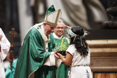 Vaticano: Papa escreve documento para a «Querida Amazónia»